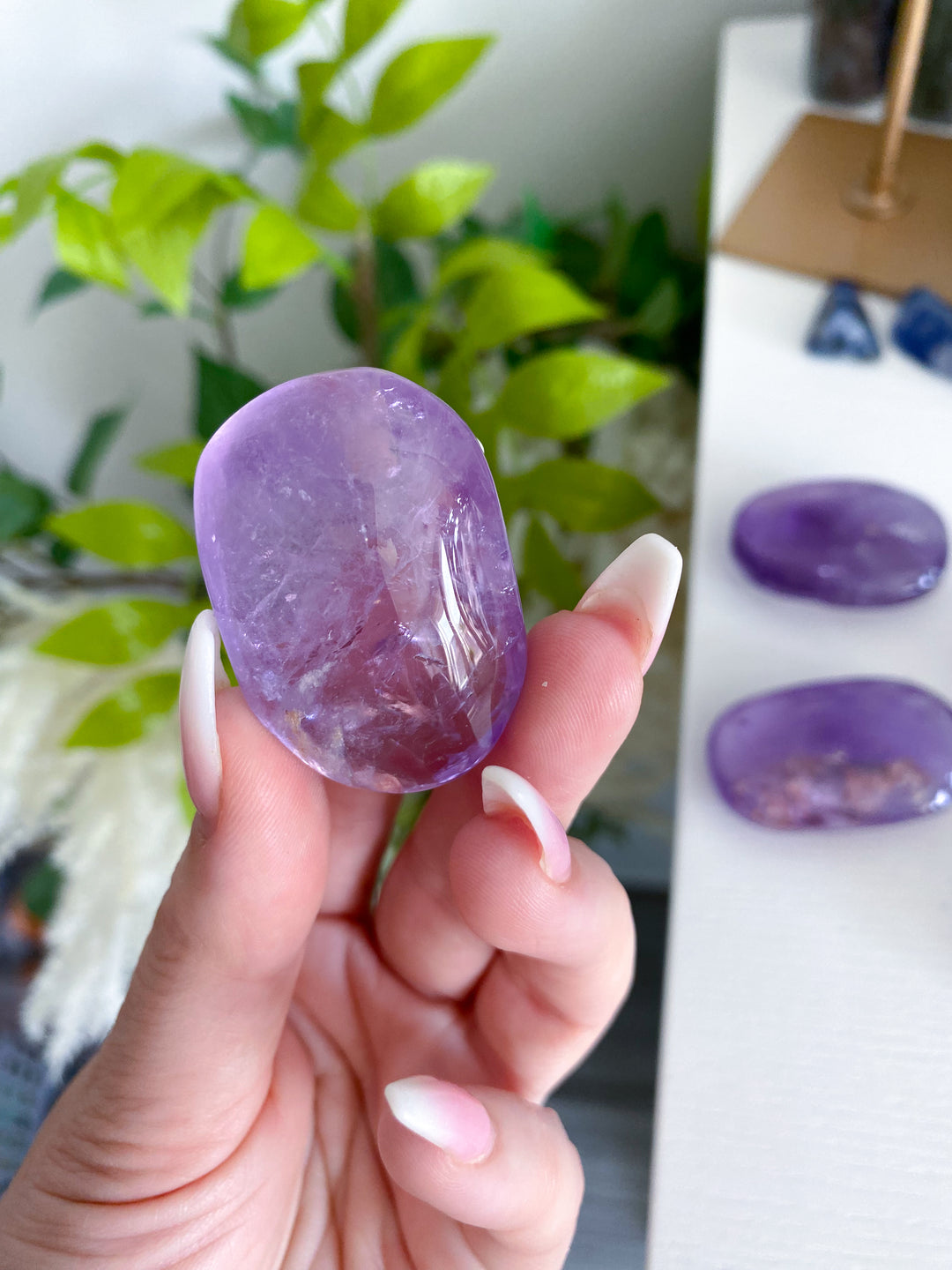 Glassy Amethyst Palm Stone