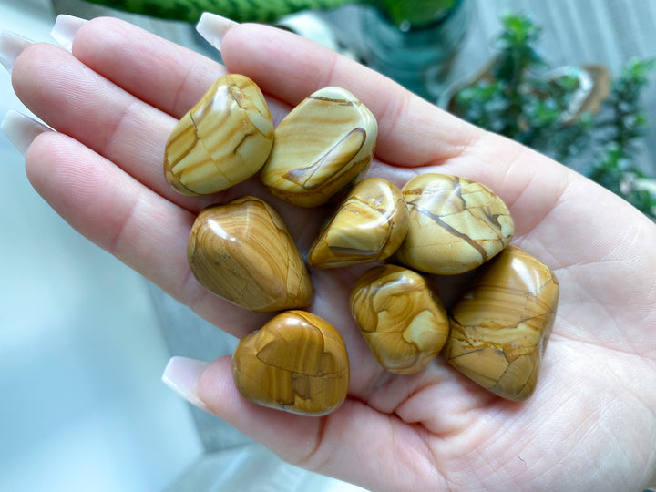 Walnut Jasper Tumble Stone