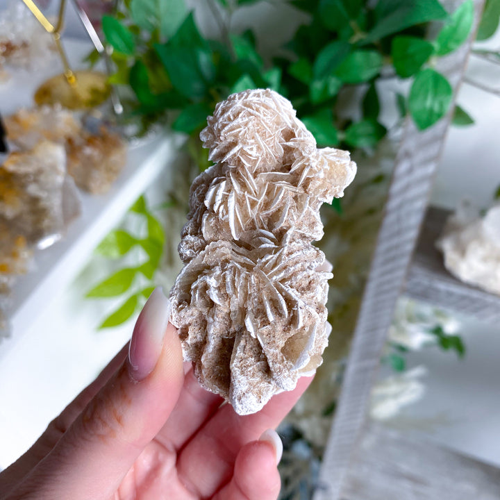 LARGE Desert Rose Piece #1
