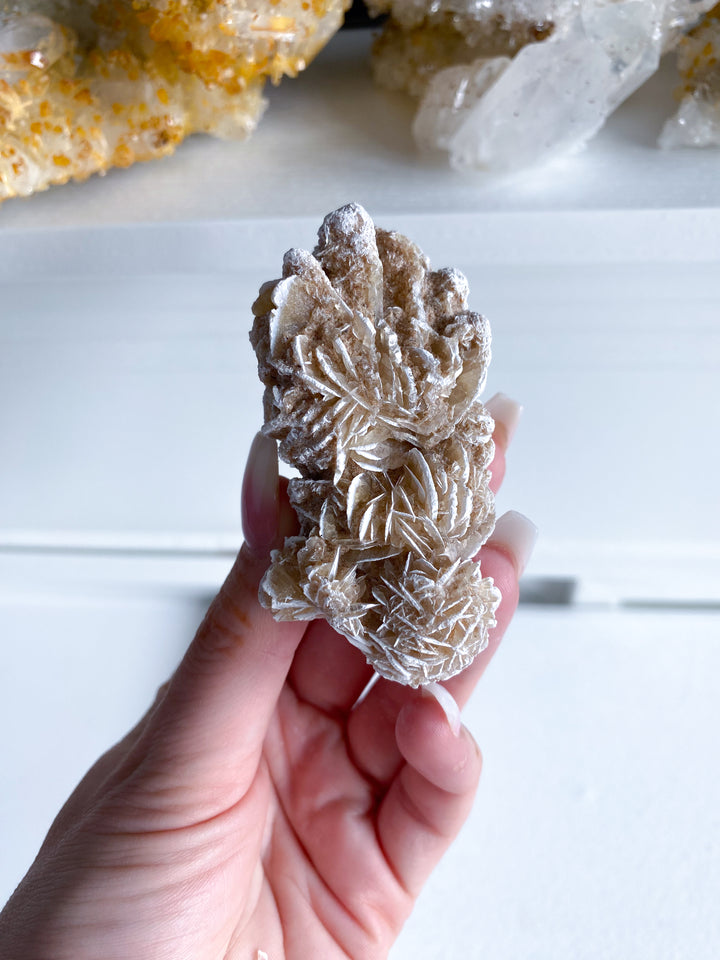 LARGE Desert Rose Piece #1