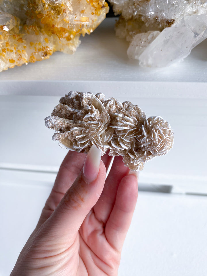 LARGE Desert Rose Piece #1