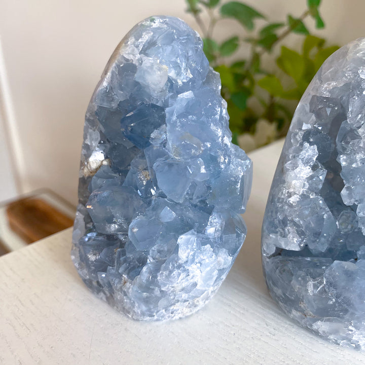 Standing Celestite Cluster