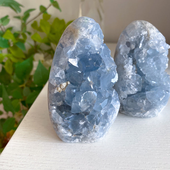 Standing Celestite Cluster