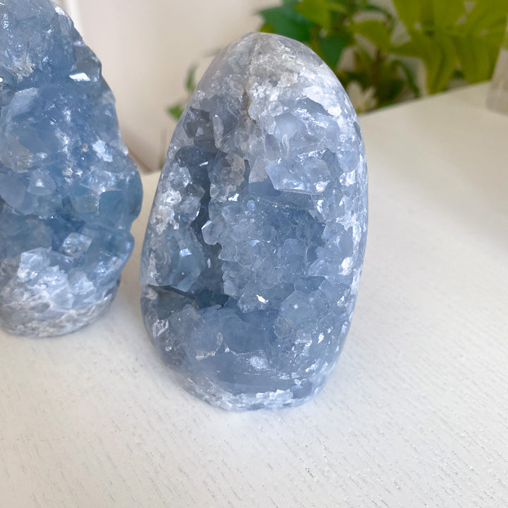 Standing Celestite Cluster