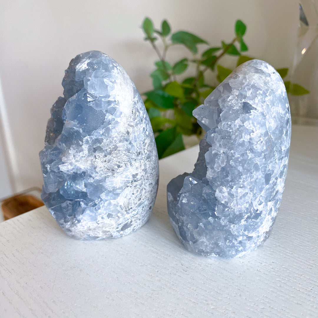 Standing Celestite Cluster