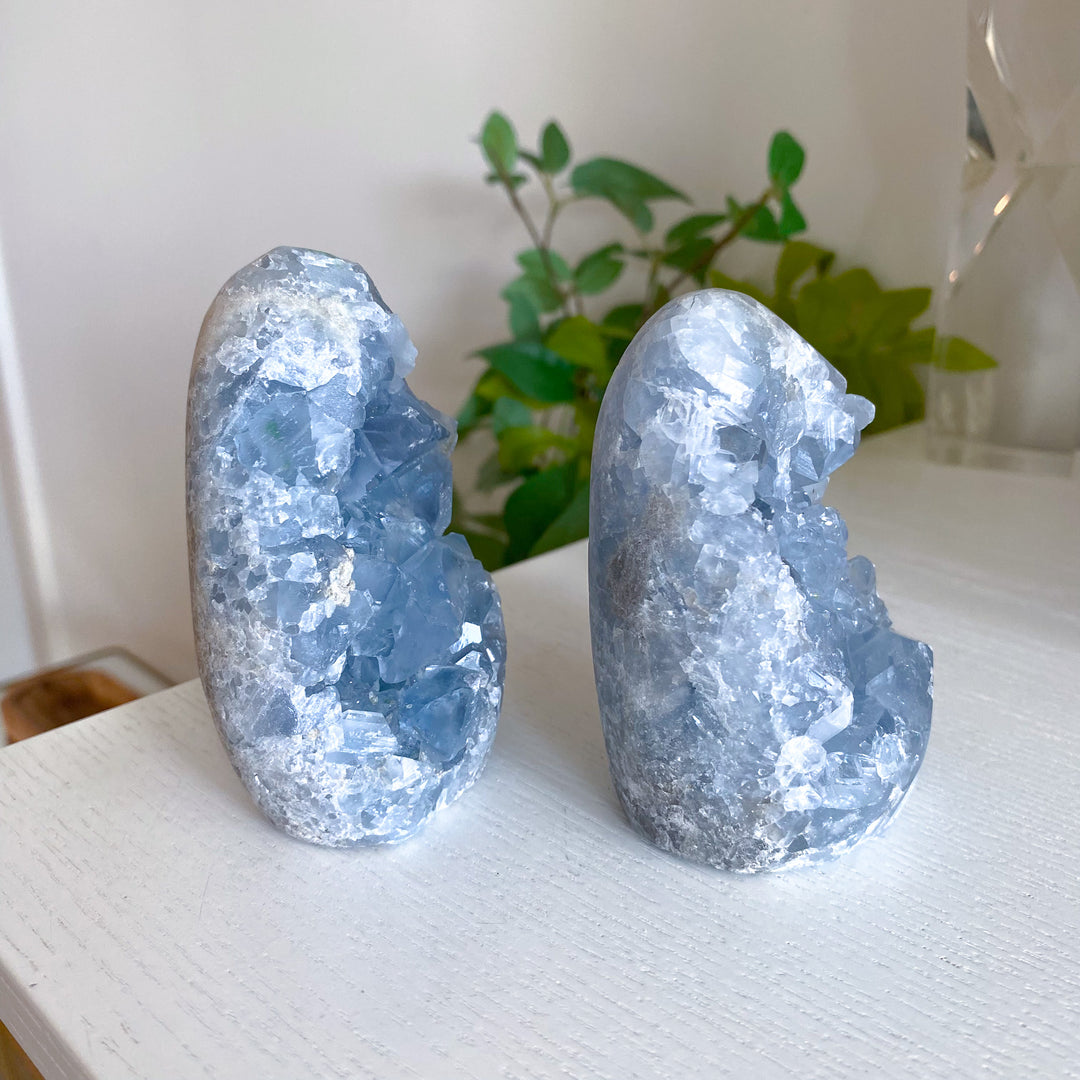 Standing Celestite Cluster