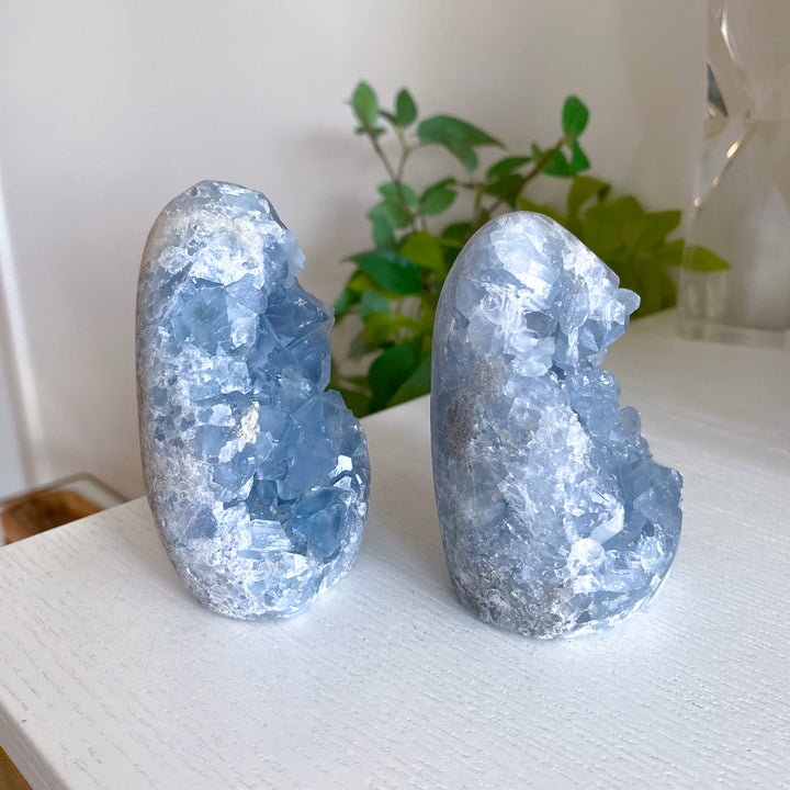 Standing Celestite Cluster