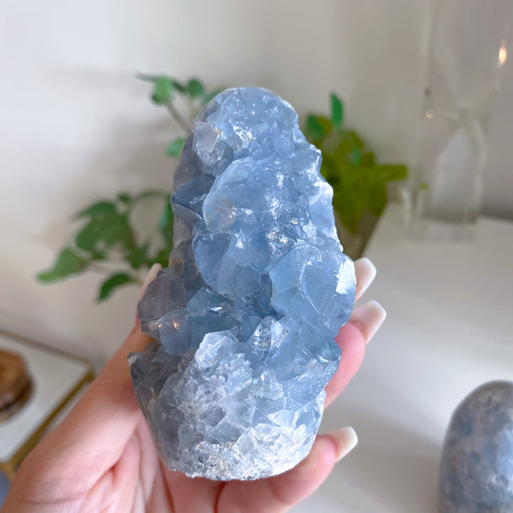 Standing Celestite Cluster