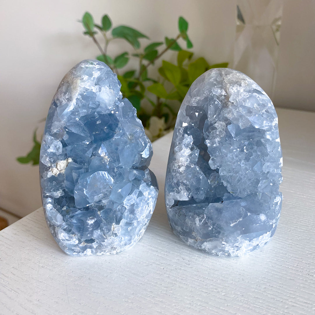 Standing Celestite Cluster