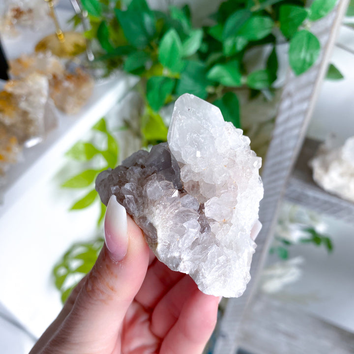 Rare XL Spirit Quartz Cluster