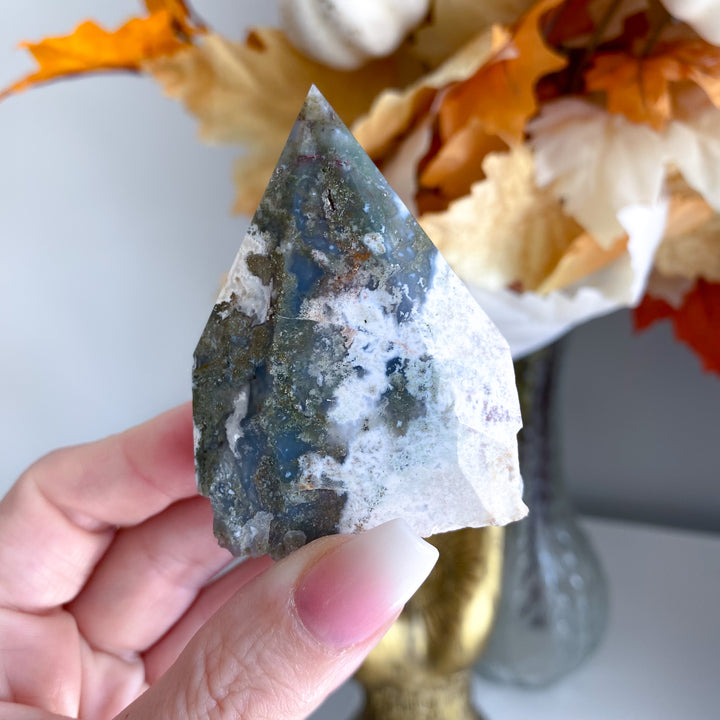 Moss Agate Top Polish 