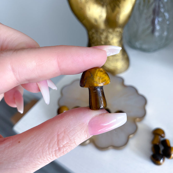 Tiger Eye Mini Mushroom