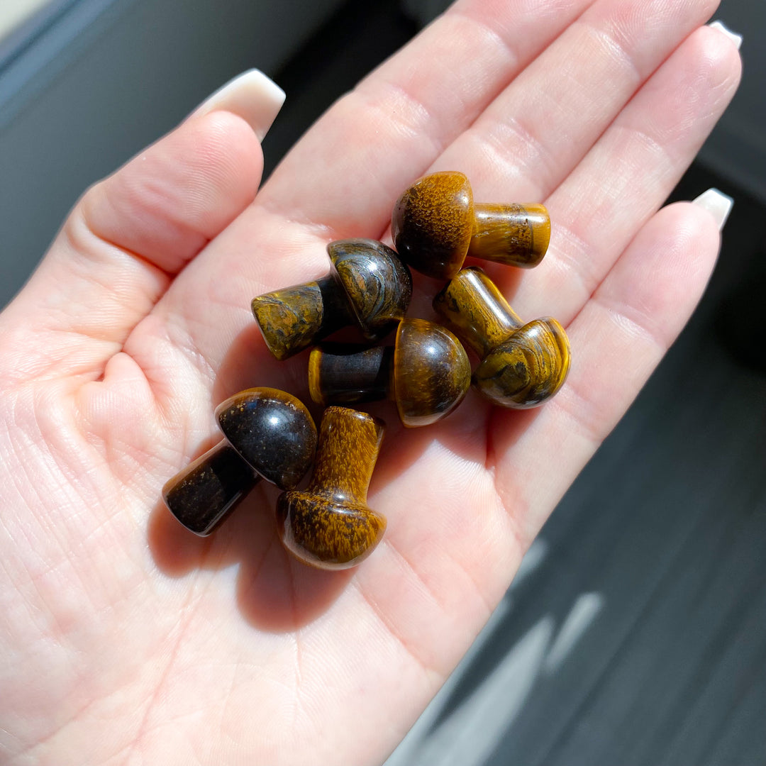 Tiger Eye Mini Mushroom