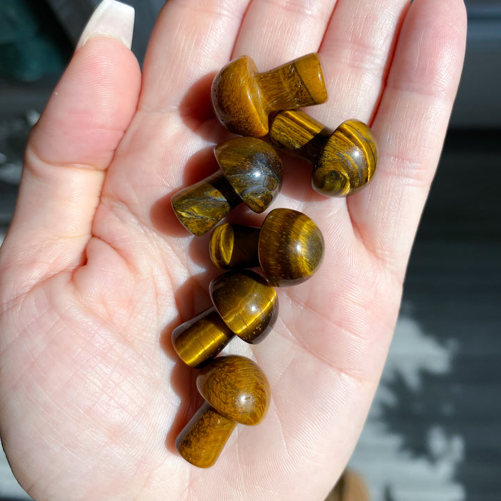 Tiger Eye Mini Mushroom