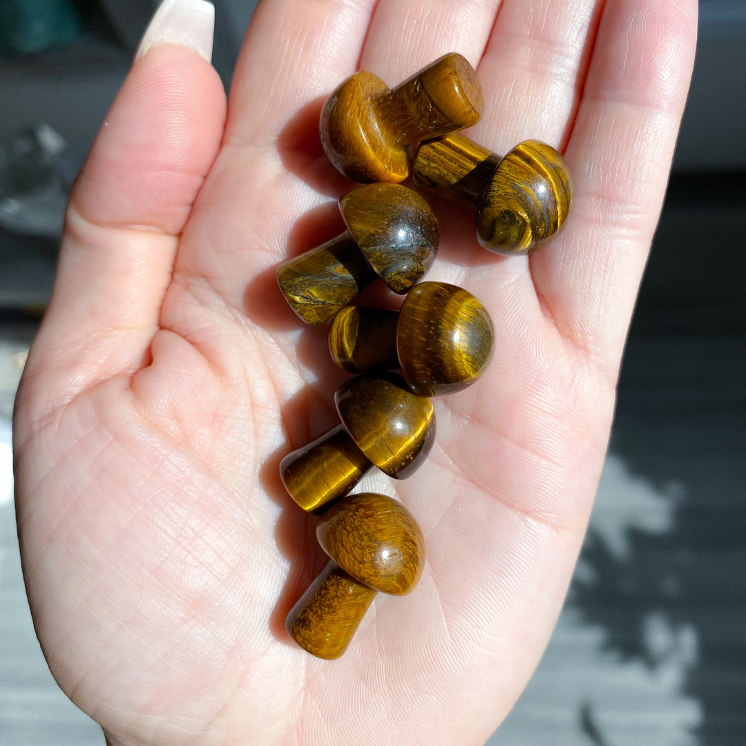 Tiger Eye Mini Mushroom