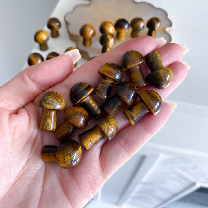 Tiger Eye Mini Mushroom