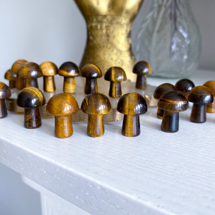 Tiger Eye Mini Mushroom