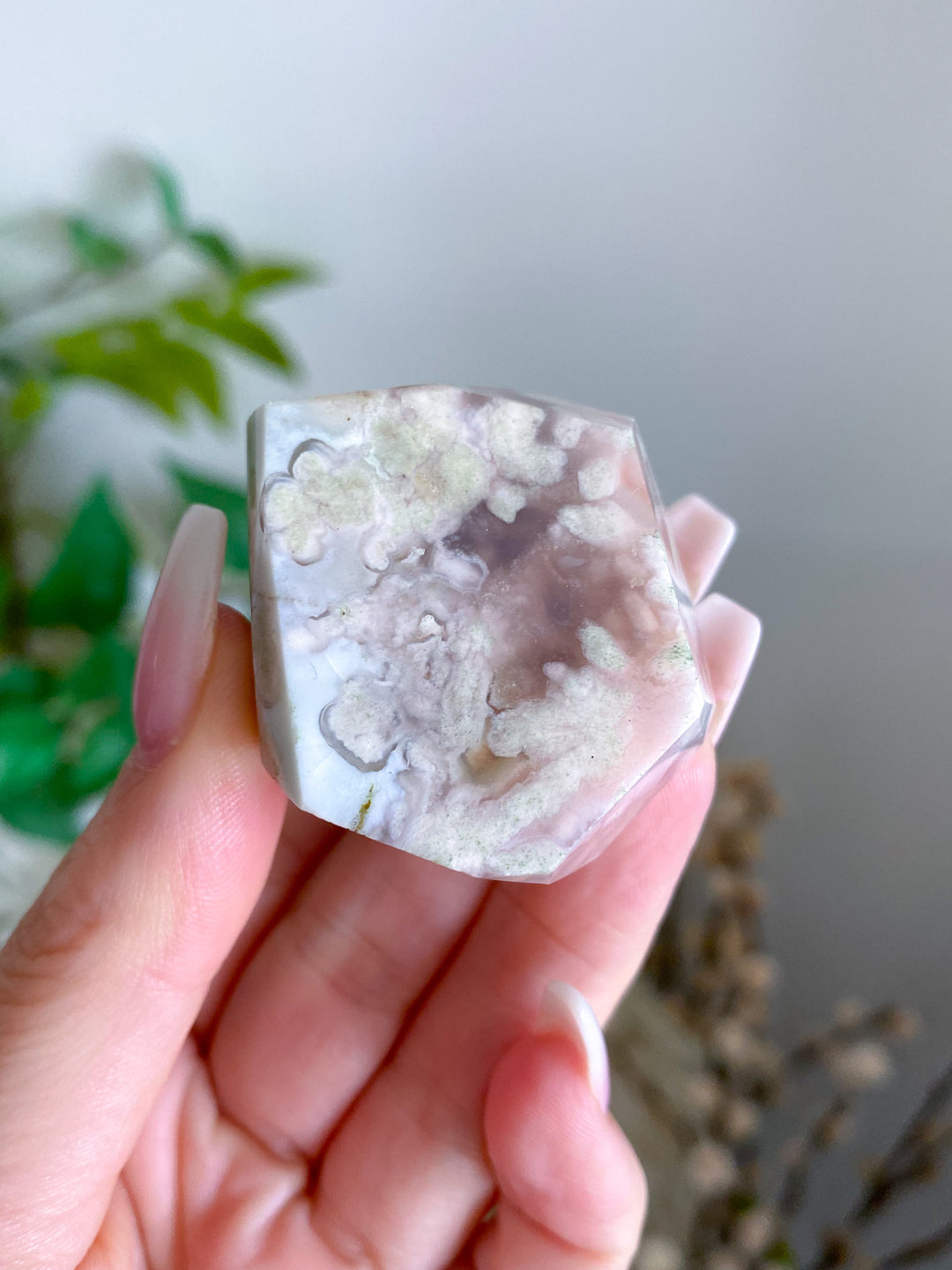 Green Flower Agate Freeform 