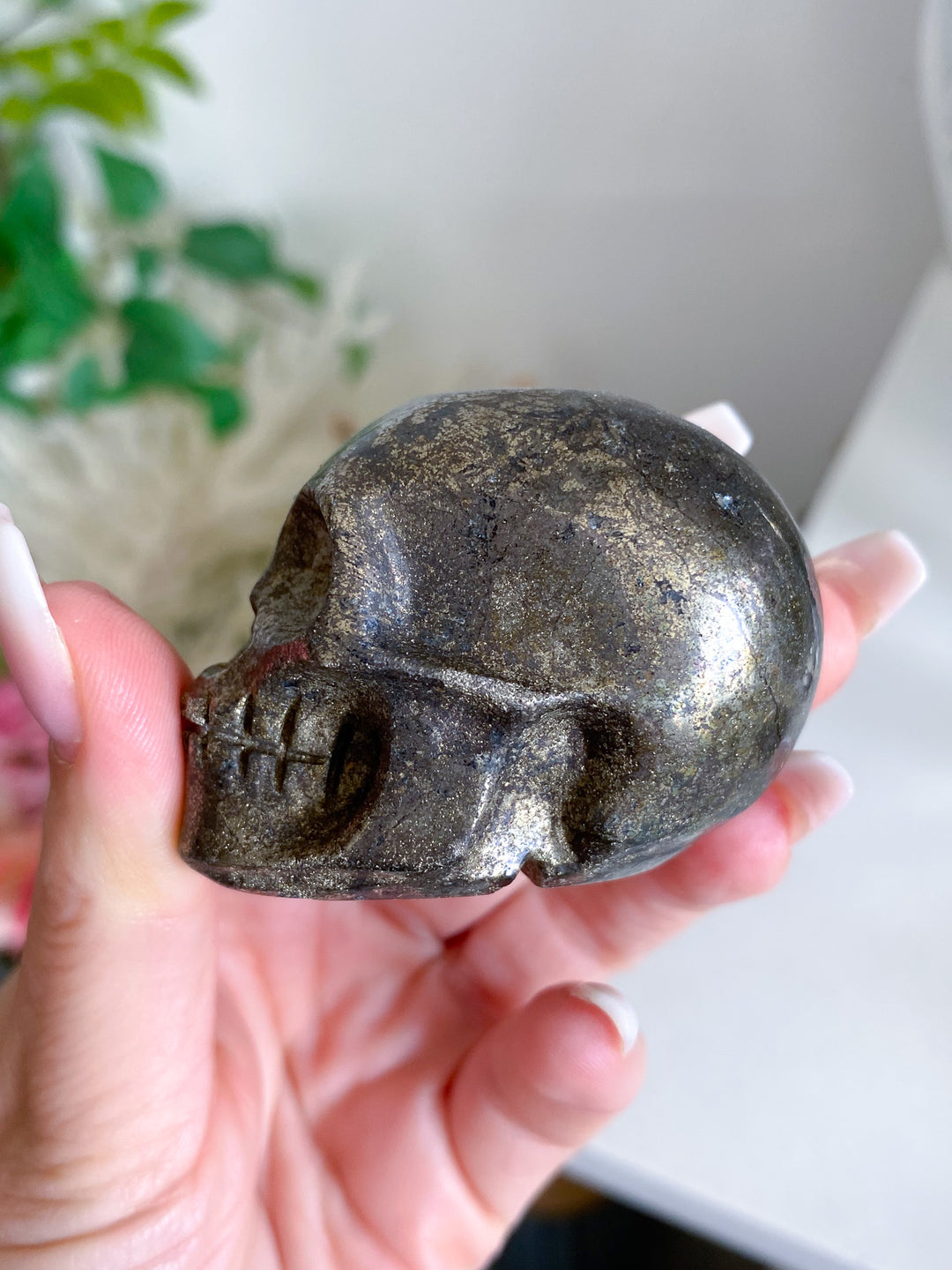 Pyrite Skull