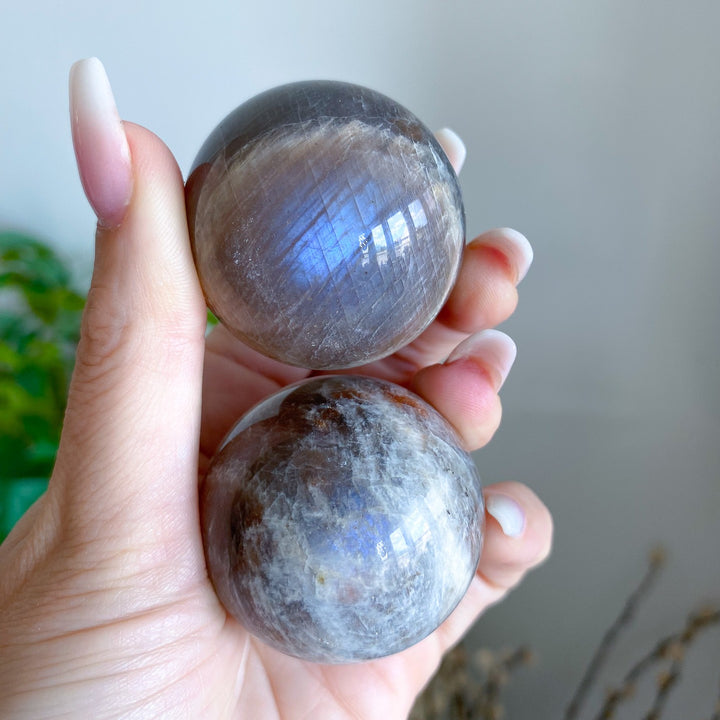 Blue Flash Moonstone Sphere w/ Sunstone or Candy Glitter