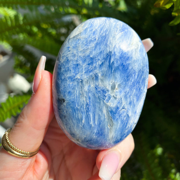 XL Blue Kyanite Palm Stone