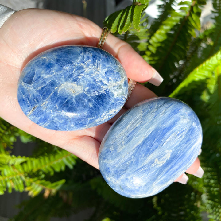 XL Blue Kyanite Palm Stone