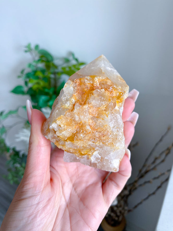 Large Golden Healer Quartz Top Polish Point 
