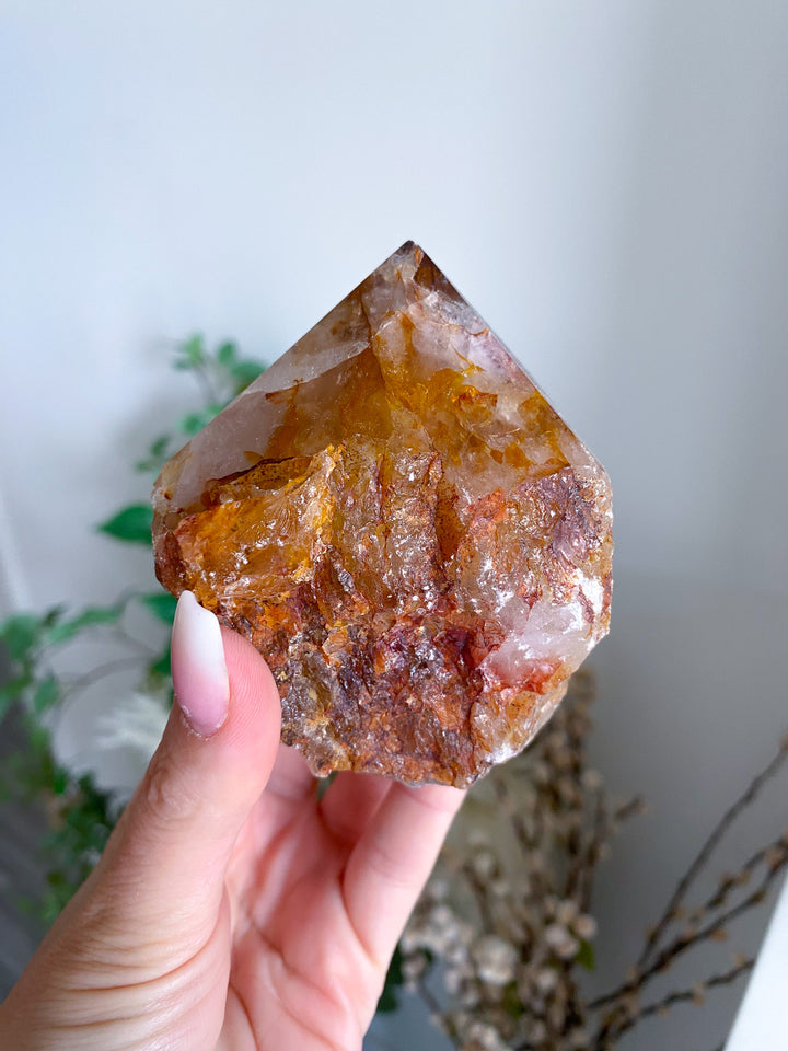 Large Golden Healer Quartz Top Polish Point 