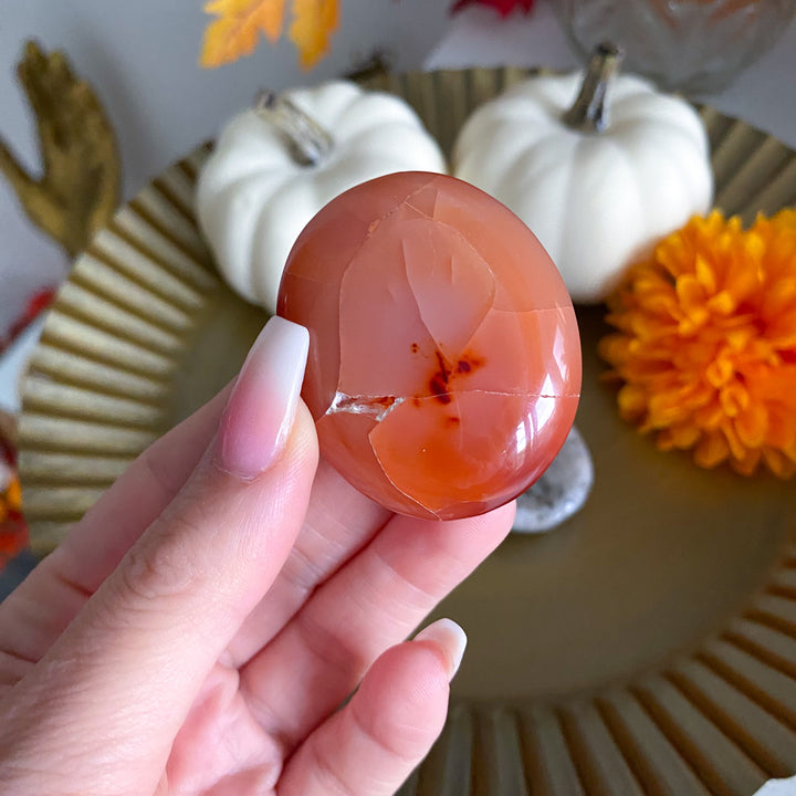 Flat Carnelian Mini Palm with Druzy 
