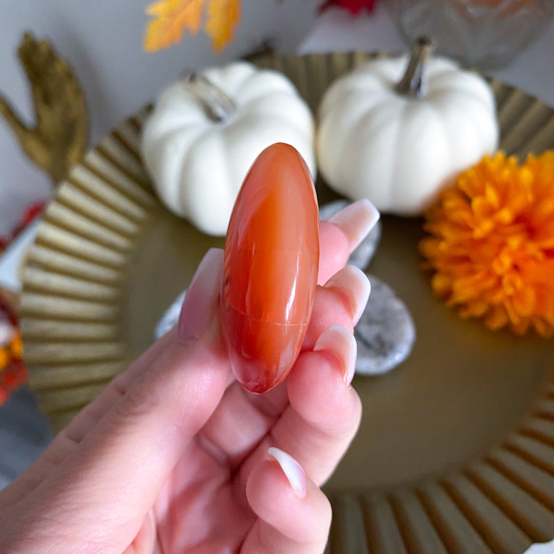 Flat Carnelian Mini Palm with Druzy 