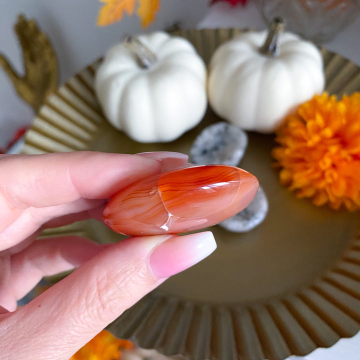 Flat Carnelian Mini Palm with Druzy 