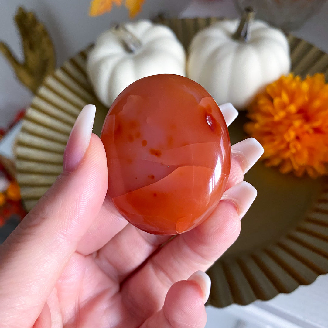 Flat Carnelian Mini Palm with Druzy 