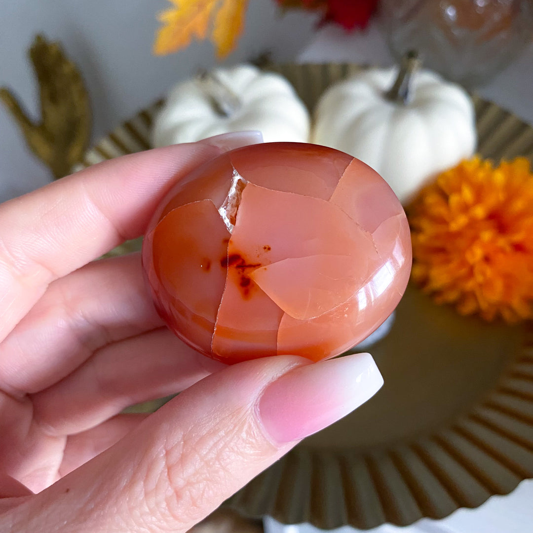 Flat Carnelian Mini Palm with Druzy 