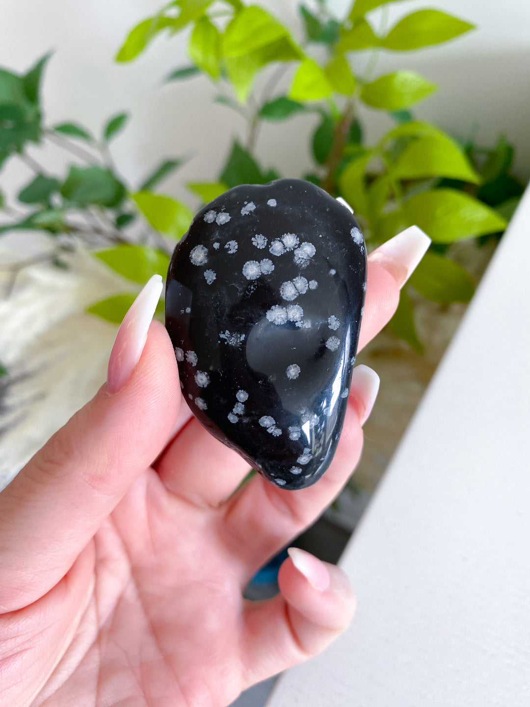 Oyster Shaped Snowflake Obsidian Pebble