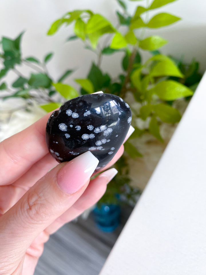 Oyster Shaped Snowflake Obsidian Pebble