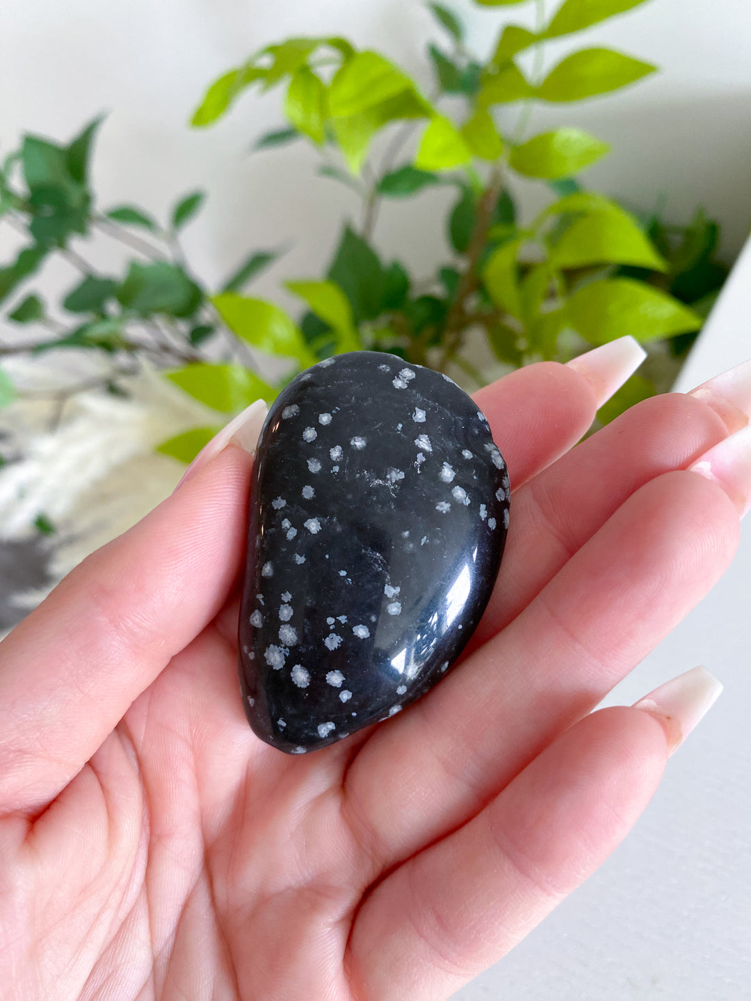 Oyster Shaped Snowflake Obsidian Pebble