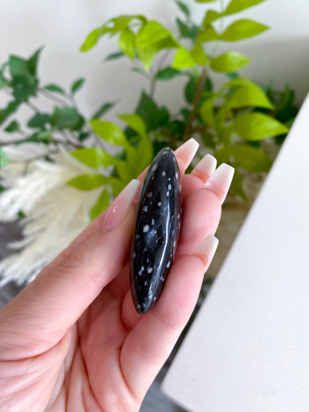 Oyster Shaped Snowflake Obsidian Pebble