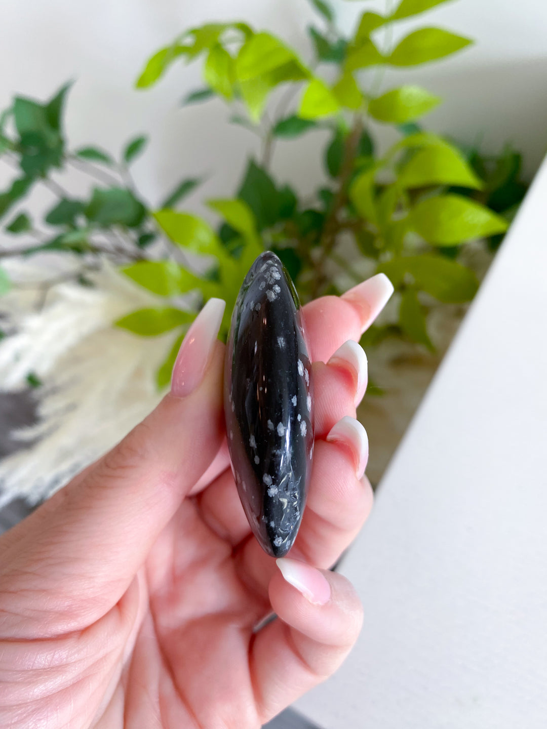 Oyster Shaped Snowflake Obsidian Pebble