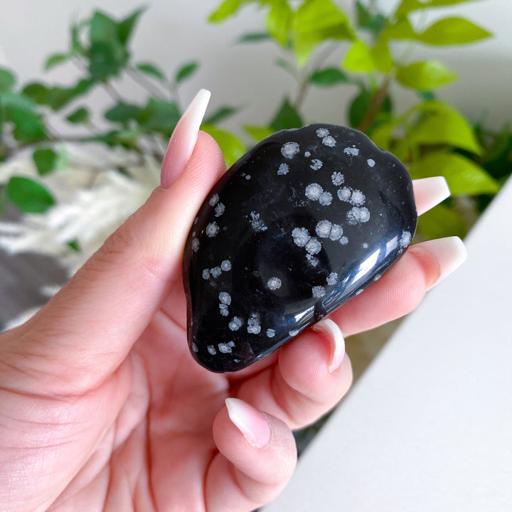 Oyster Shaped Snowflake Obsidian Pebble