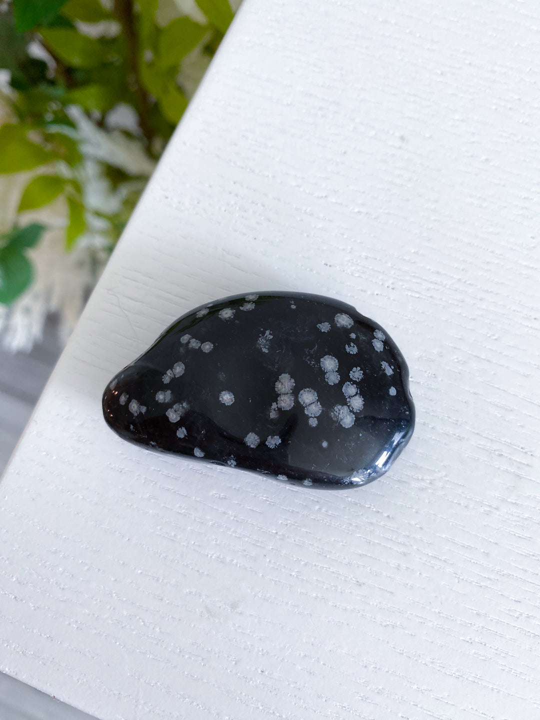 Oyster Shaped Snowflake Obsidian Pebble