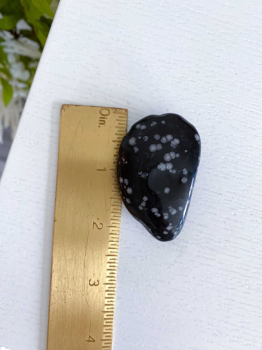 Oyster Shaped Snowflake Obsidian Pebble