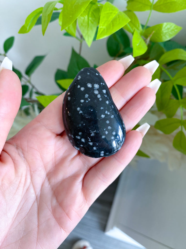 Oyster Shaped Snowflake Obsidian Pebble