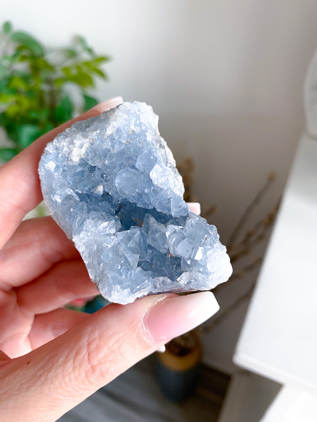 Unique Celestite Cluster 