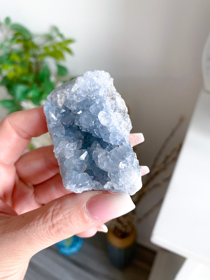Unique Celestite Cluster 