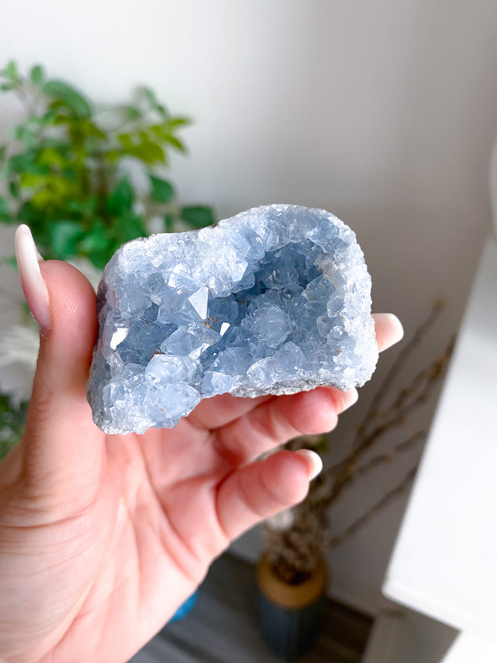 Unique Celestite Cluster 