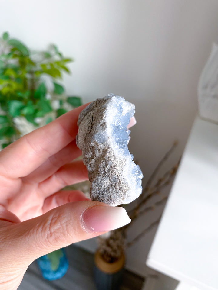 Unique Celestite Cluster 