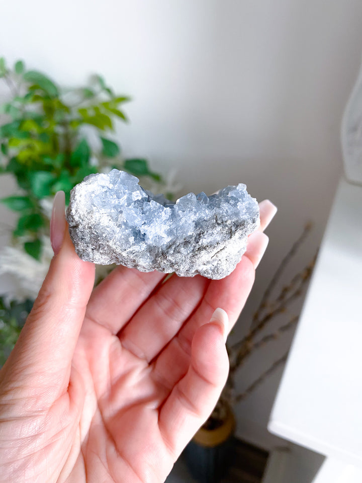 Unique Celestite Cluster 
