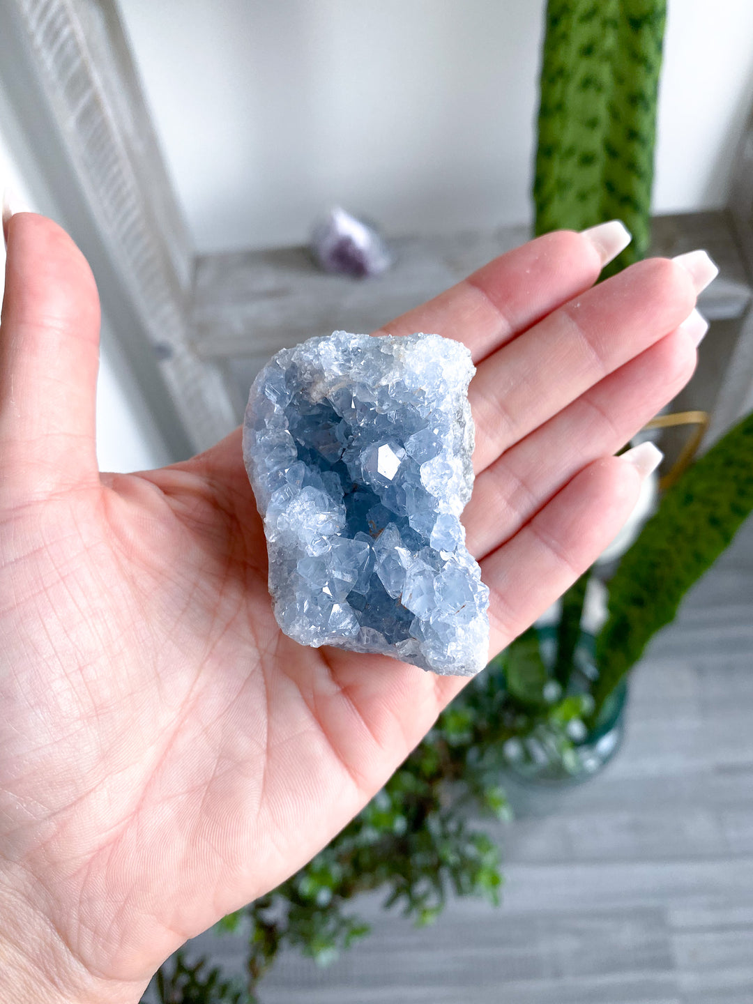 Unique Celestite Cluster 