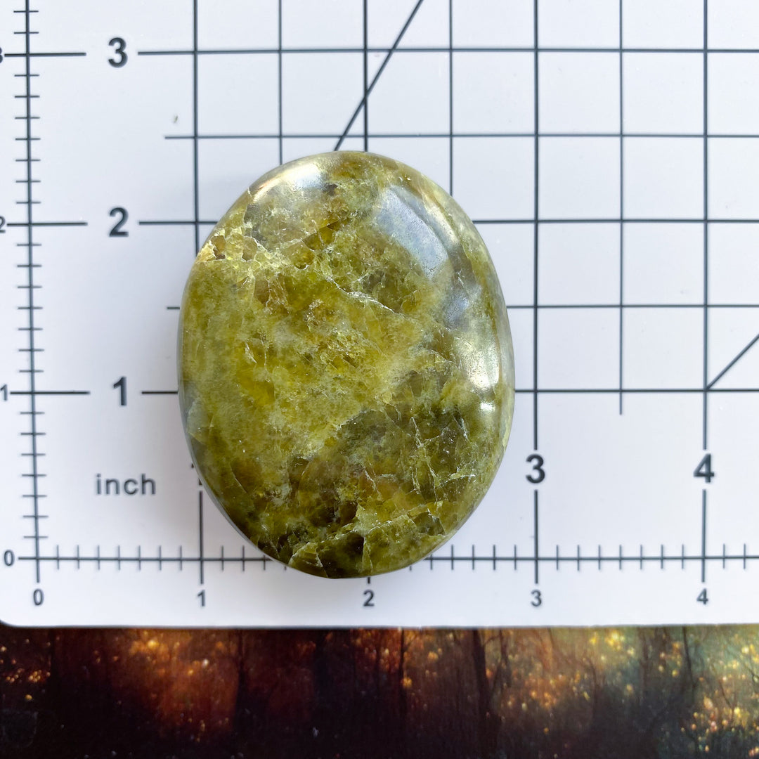 Vesuvianite Palm Stone 