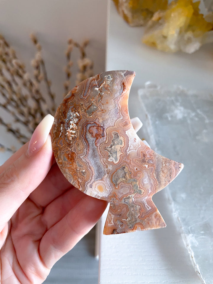 Pink Crazy Lace Agate Moon #2